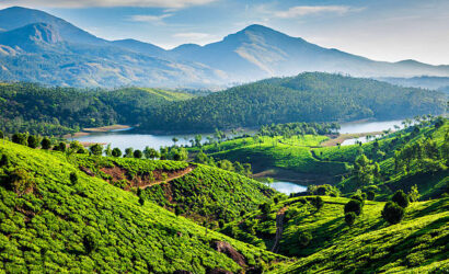 Tea plantations and Muthirappuzhayar River in hills near Munnar, Kerala, India
