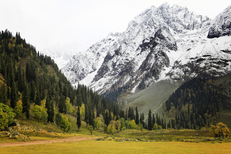 kashmir2
