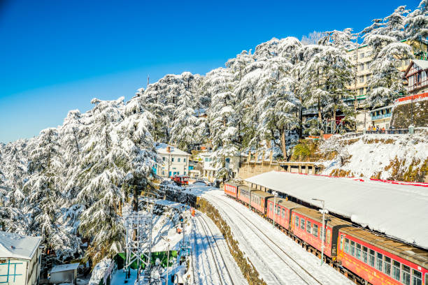 shimla3
